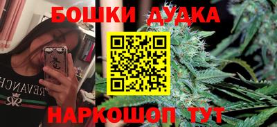 сатива Лесосибирск